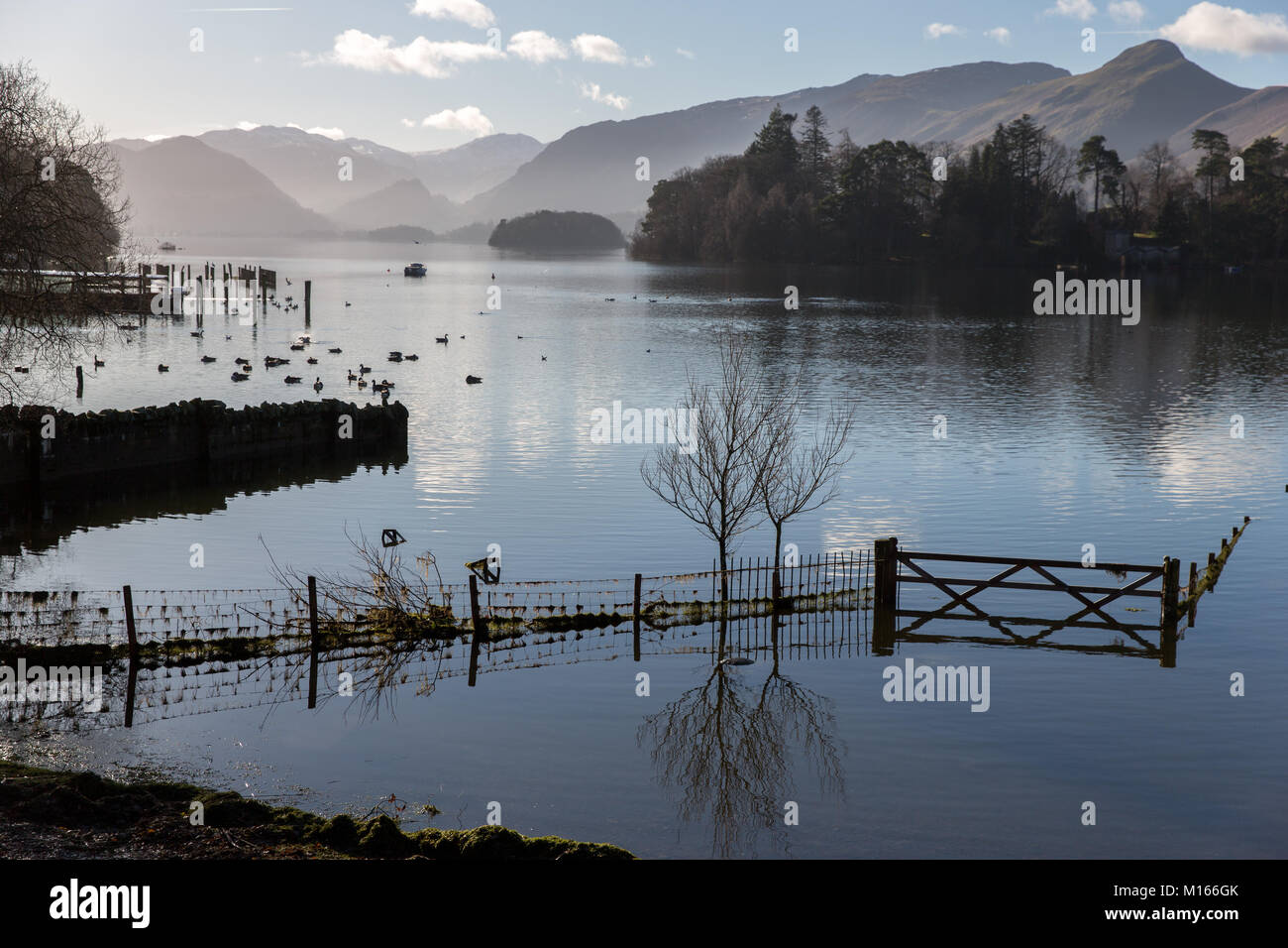 A flooded field on the banks of Derwent Water near Keswick after heavy rains Stock Photo