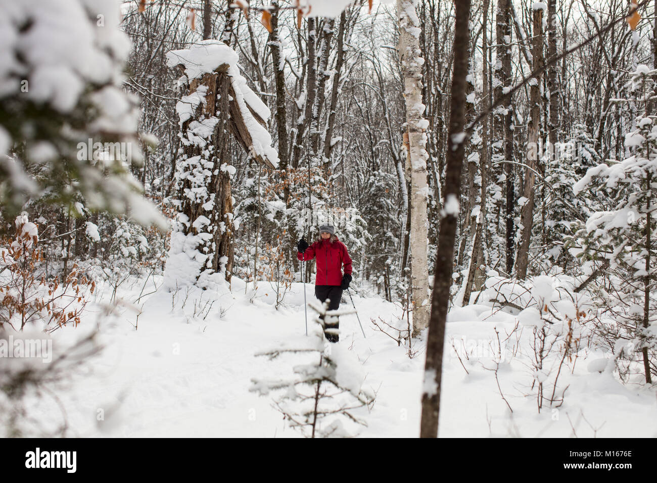 MAYNOOTH, ONTARIO, CANADA January 4, 2018 A lady in a red coat cross