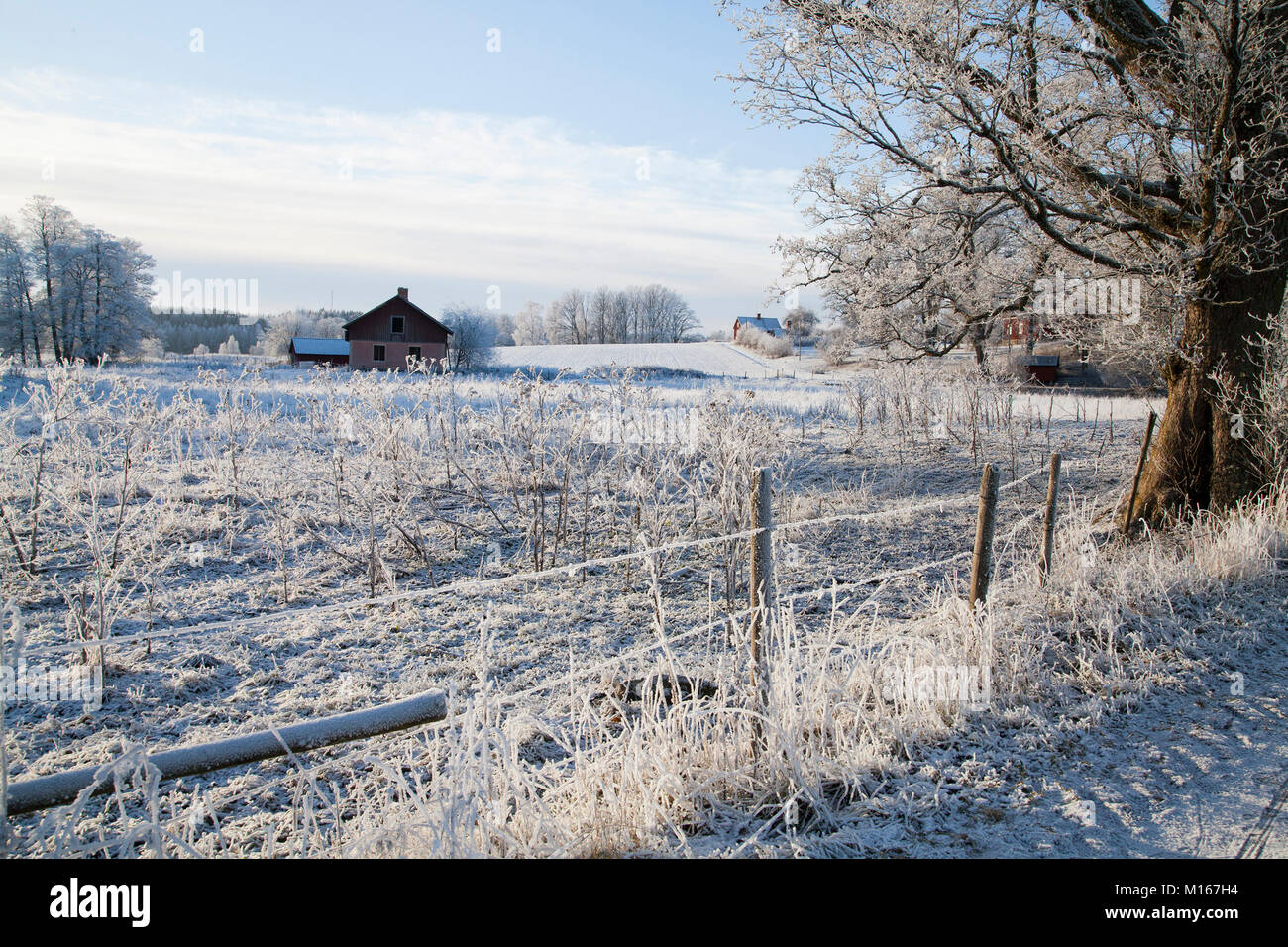 FARMHOUSE on the field with frosty vegetation Stock Photo