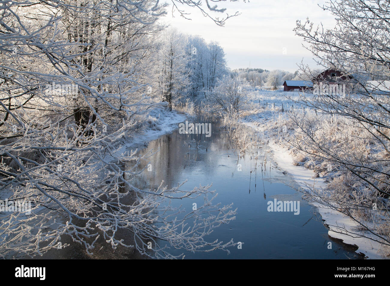 LANDSCAPE WINTER with open water in the stream Stock Photo