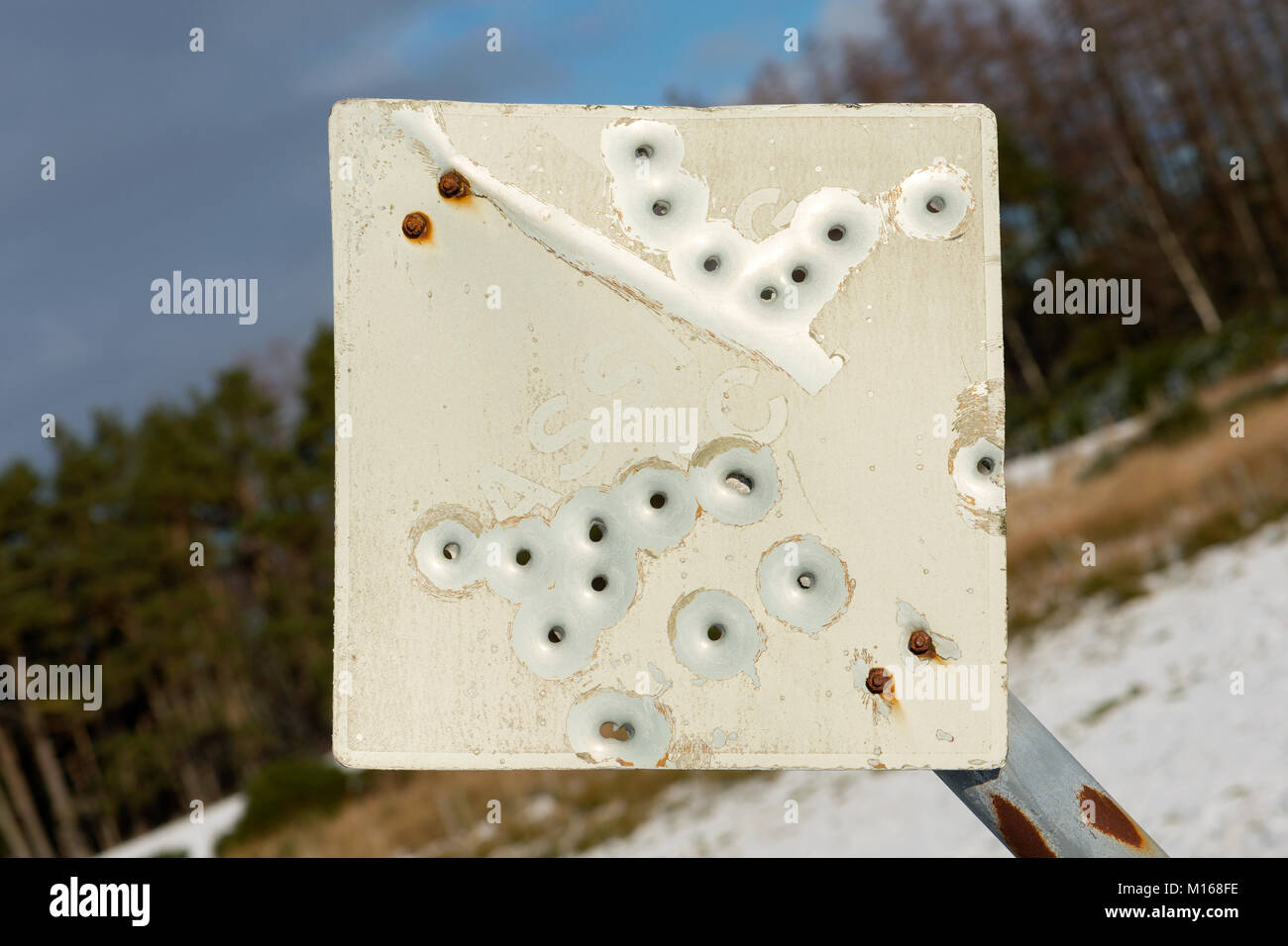 A grouping of bullet holes in a metal 'passing place' road sign in Scotland Stock Photo