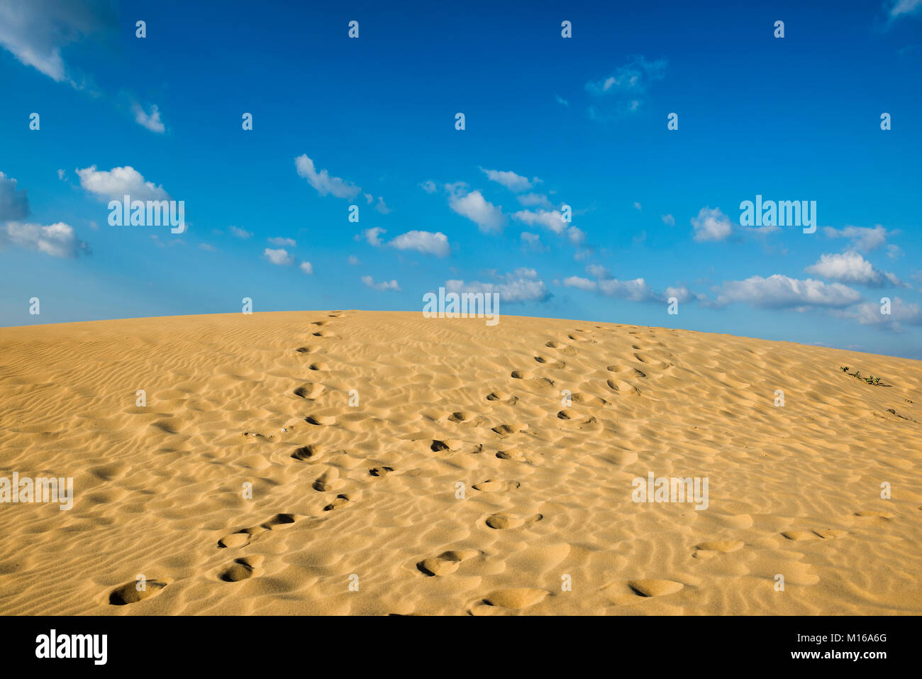Sand dunes and blue sky, Praia da Bordeira, Carrapateira, Algarve, West Coast, Atlantic Ocean, Portugal Stock Photo