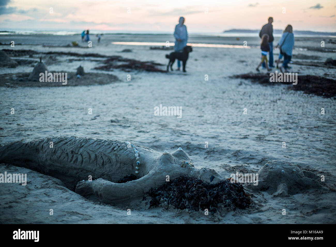 Mermaid of sand and strollers at dusk on the beach, Portbail, Cotentin, la Manche, Normandy, France Stock Photo