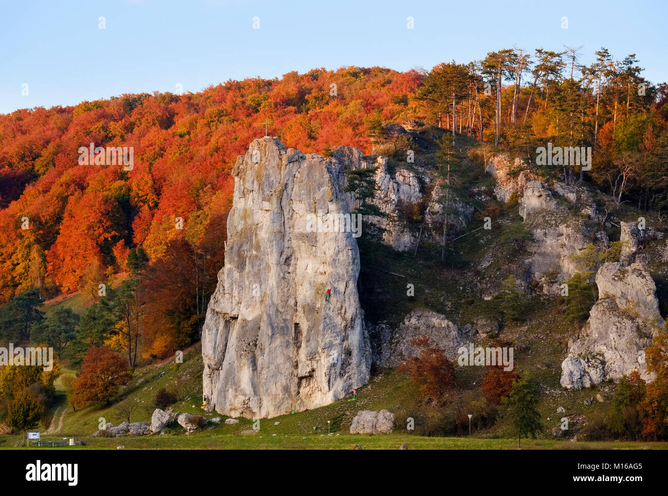 Burgstein Rock near Dollnstein, autumn colouring, Altmühltal, Upper Bavaria, Bavaria, Germany Stock Photo