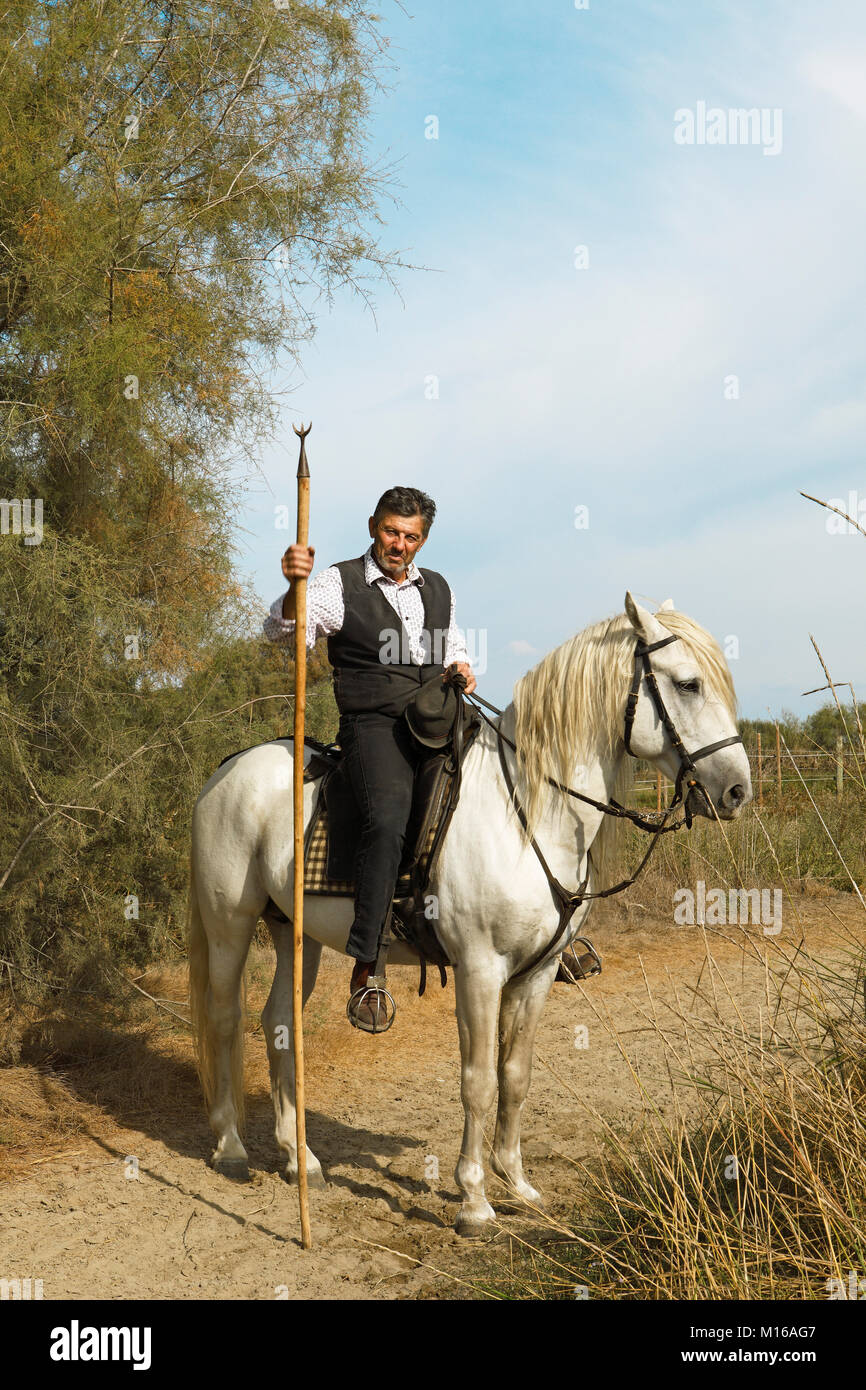 Gardian or traditional bull herder in typical working clothes on a Camargue horse, Le Grau-du-Roi, Camargue, France Stock Photo