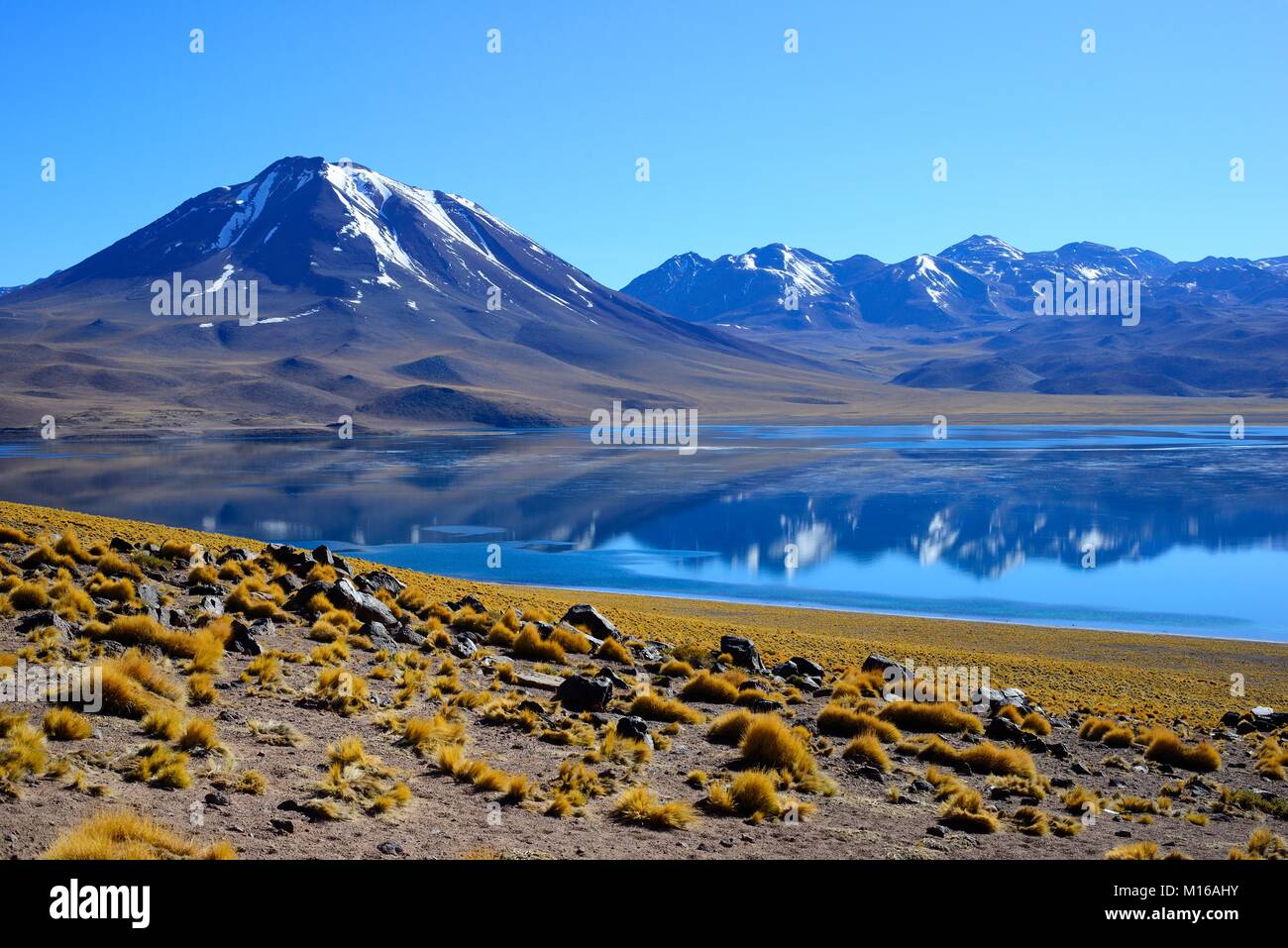 Laguna Miscanti on the Altiplano, Reserva nacional Los Flamencos, near San Pedro de Atacama, Región de Antofagasta, Chile Stock Photo