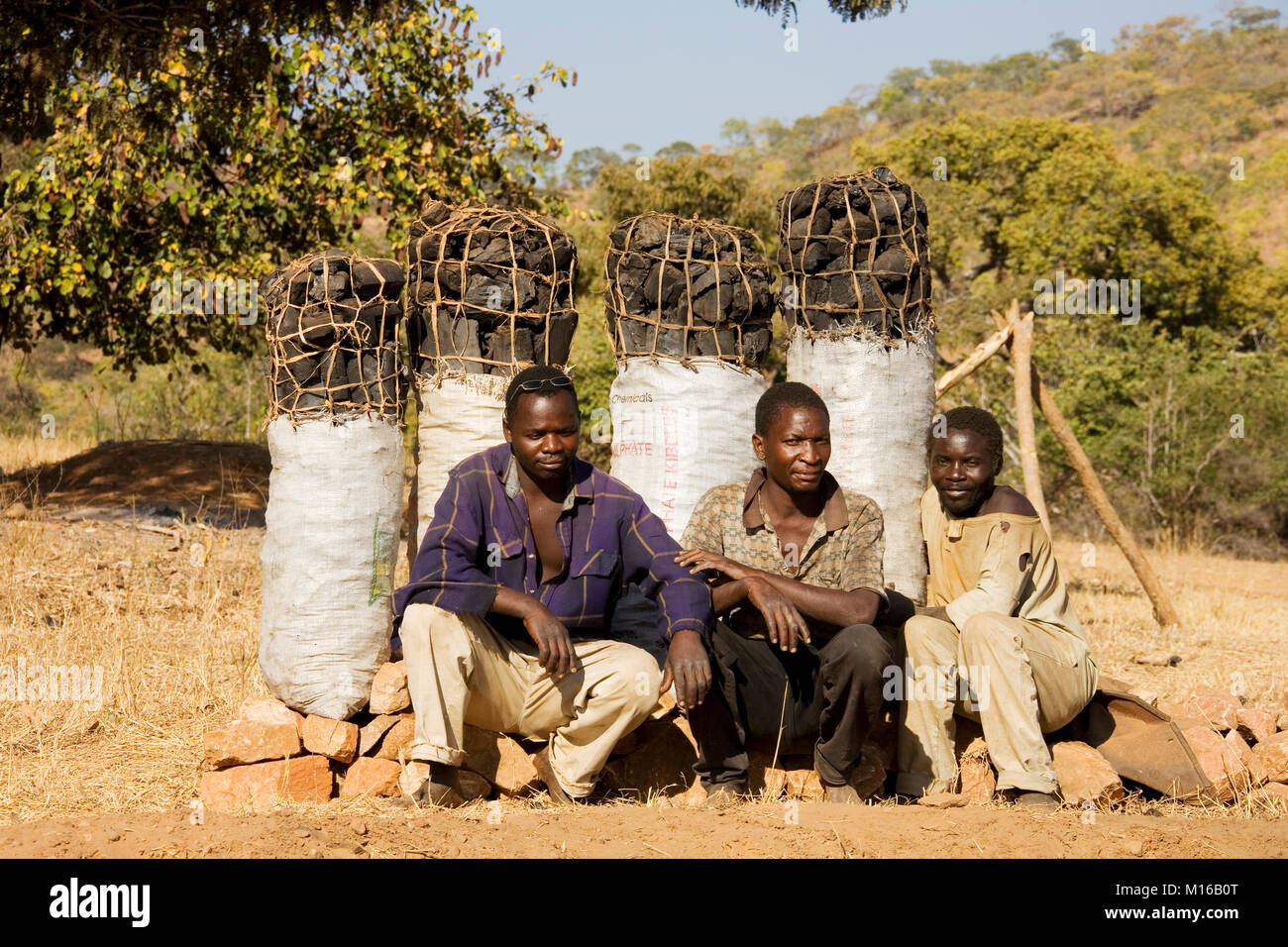 Charcoal is sold on Zambias roadsides, which is a true menace to the forests of the country, South of Lusaka, Zambia Stock Photo