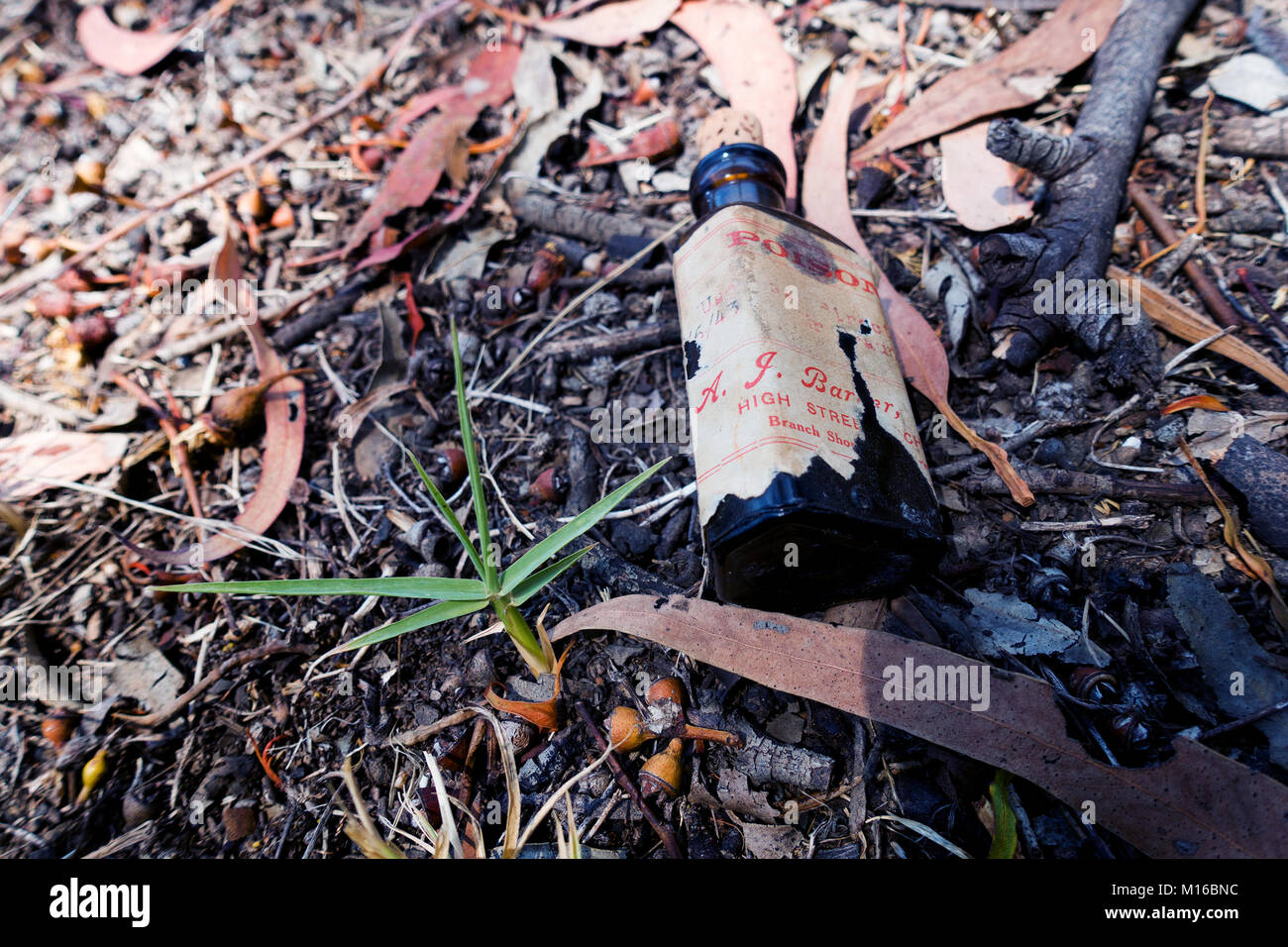 Australian poison bottle with old label Stock Photo