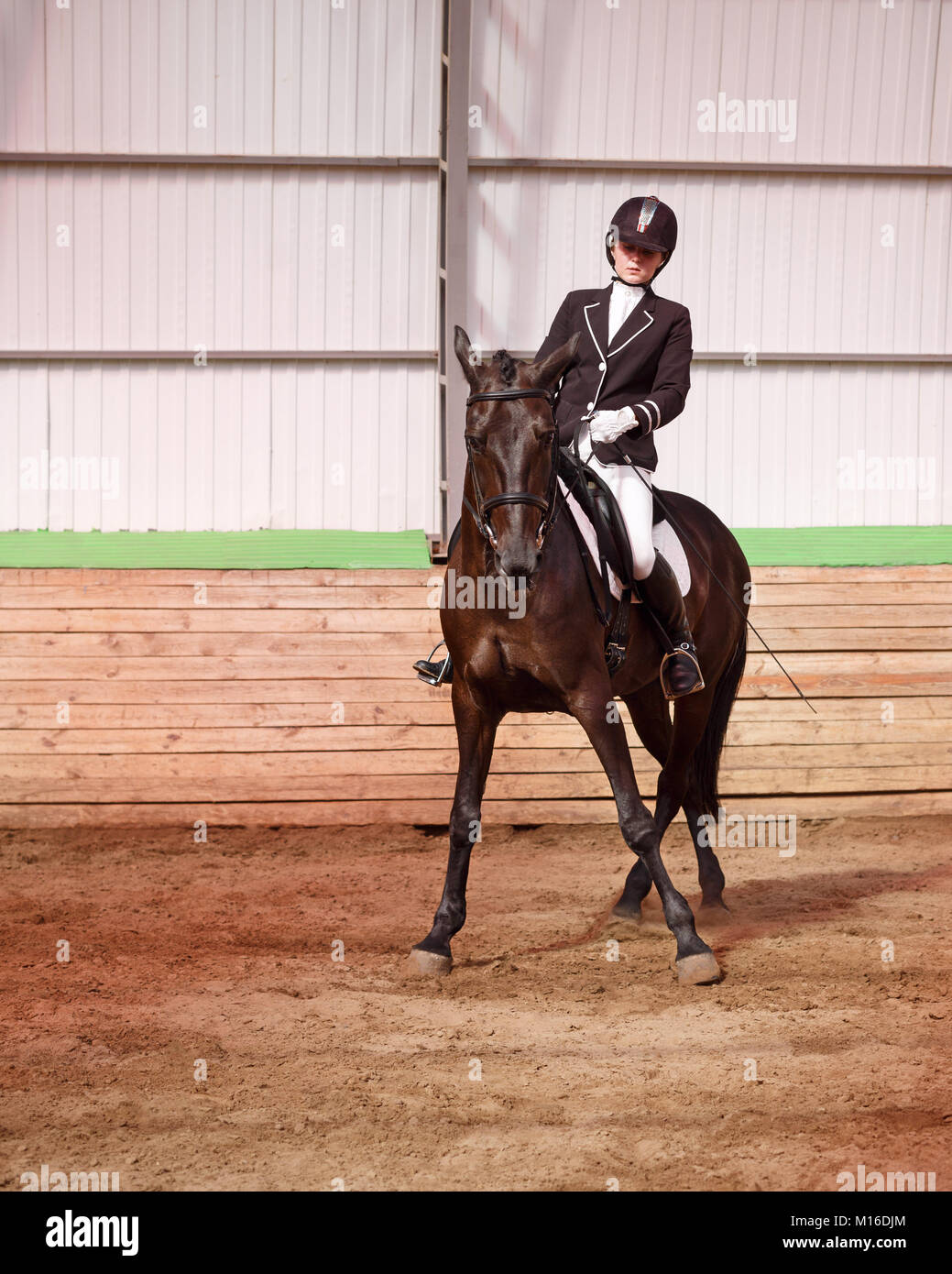 A sweet girl jockey rides a horse in a covered arena. Workout