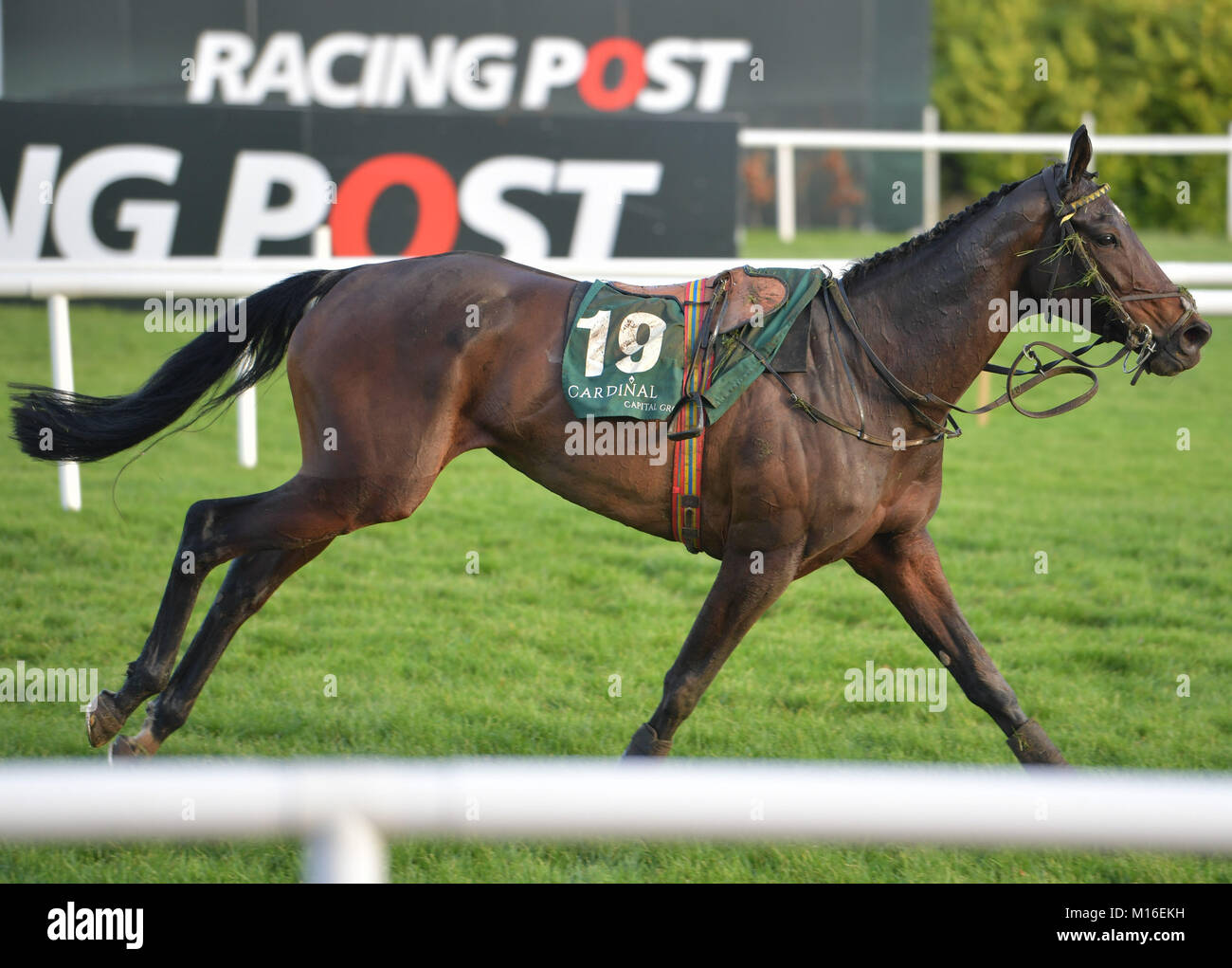 Action from Leopardstown St Stephen's day racing meeting Featuring ...