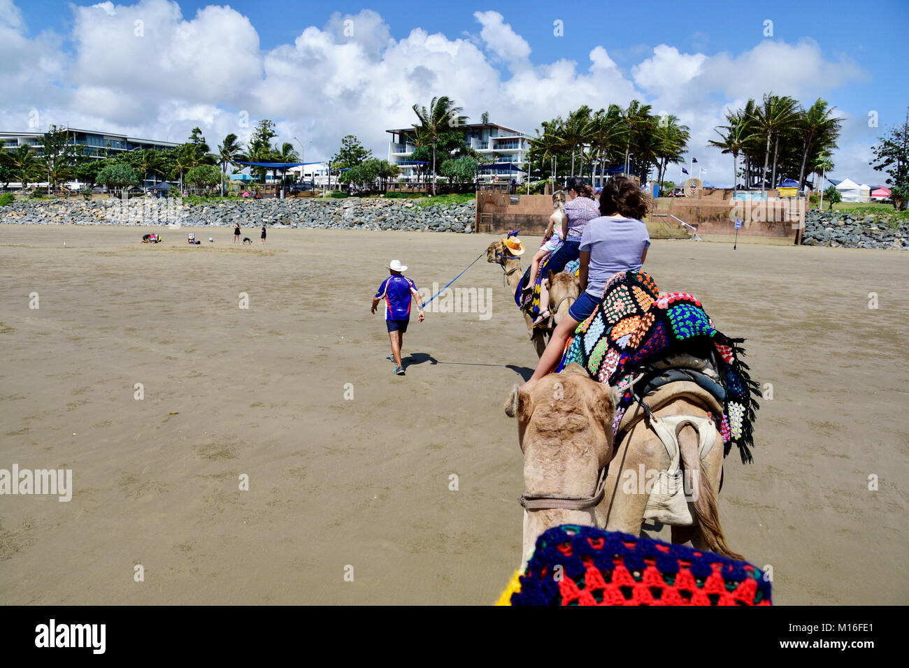 TOURISTS RIDING CAMELS ON BEACH Stock Photo - Alamy