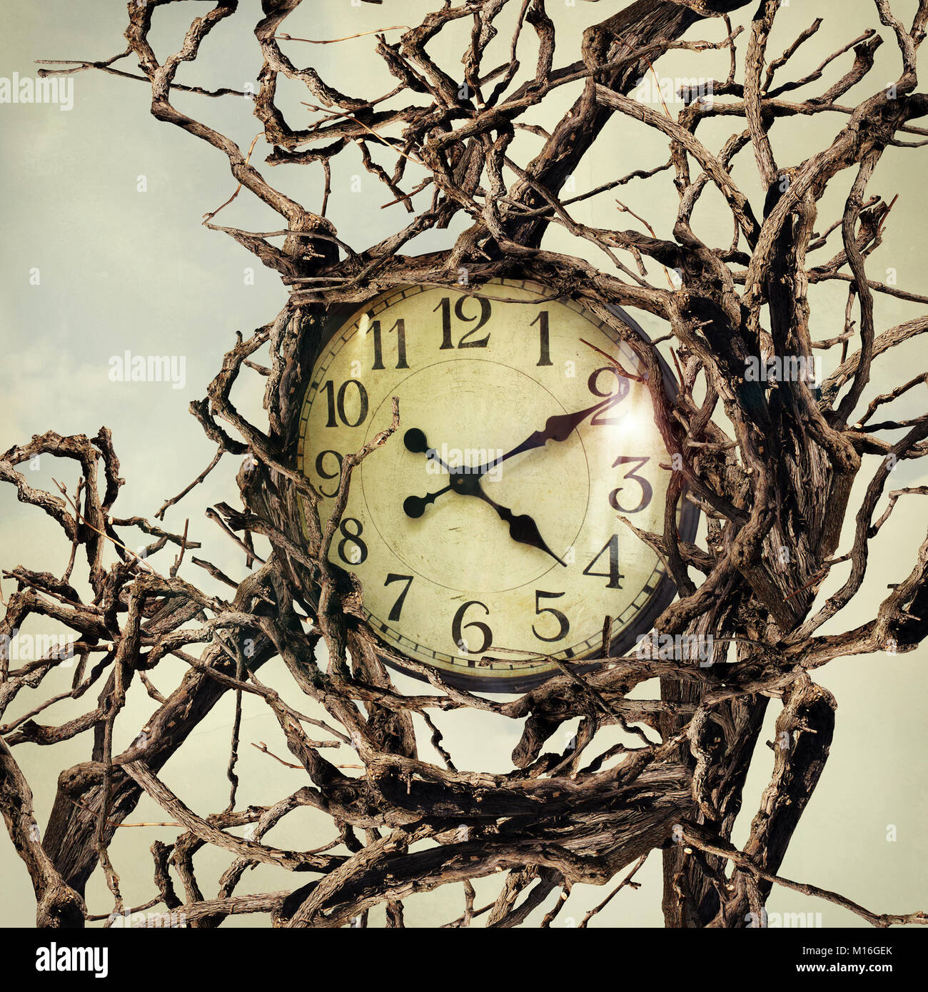 Beautiful surreal image representing a clock entwined by many branches Stock Photo