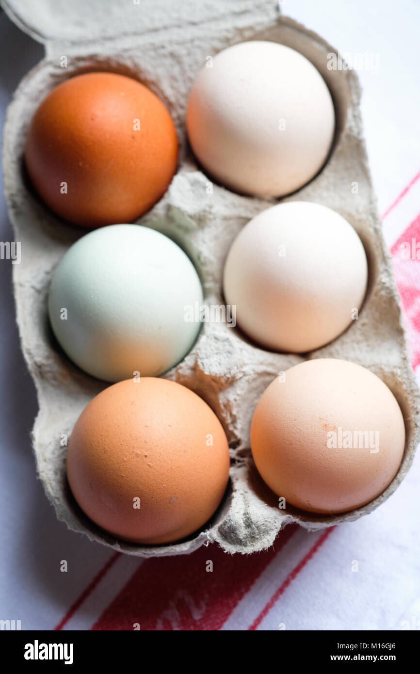 Half a dozen fresh free range eggs, different sizes and colours. Brown