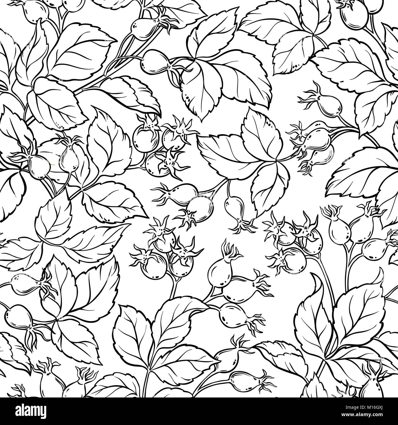 wild rose seamless pattern on white background Stock Vector Image & Art ...