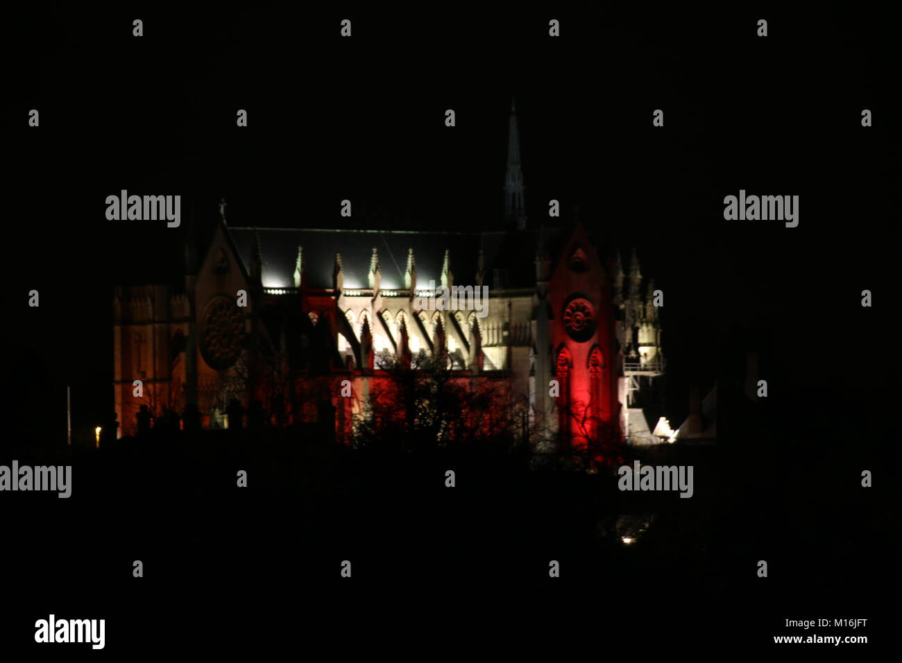 Arundel Cathedral illuminated for rememberance day Stock Photo