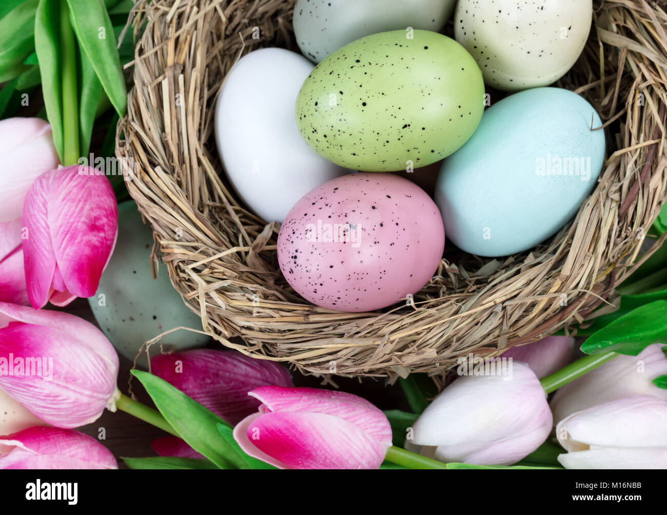 Close up overhead view of a bird nest filled with colorful eggs ...