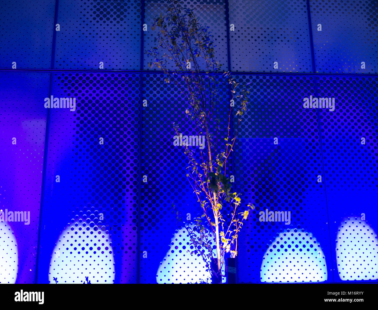 Illuminated tree hi-res stock photography and images - Alamy