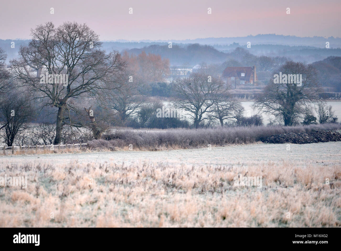 Peter frost hi-res stock photography and images - Alamy