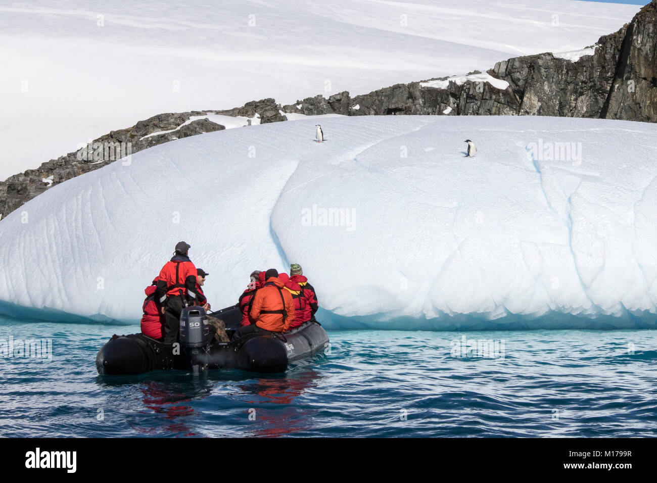 Cruise ship Antarctica expedition with tourists in Zodiac view Antarctic landscape, and Antarctica penguins, Antarctic Peninsula. Stock Photo