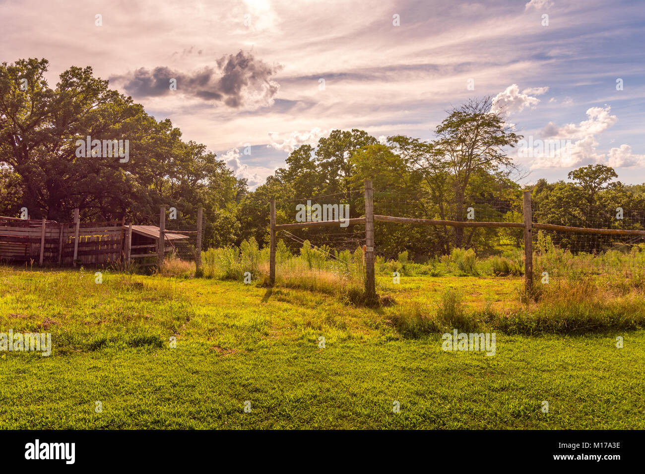 Photographed in park near Waterloo, Iowa Stock Photo Alamy