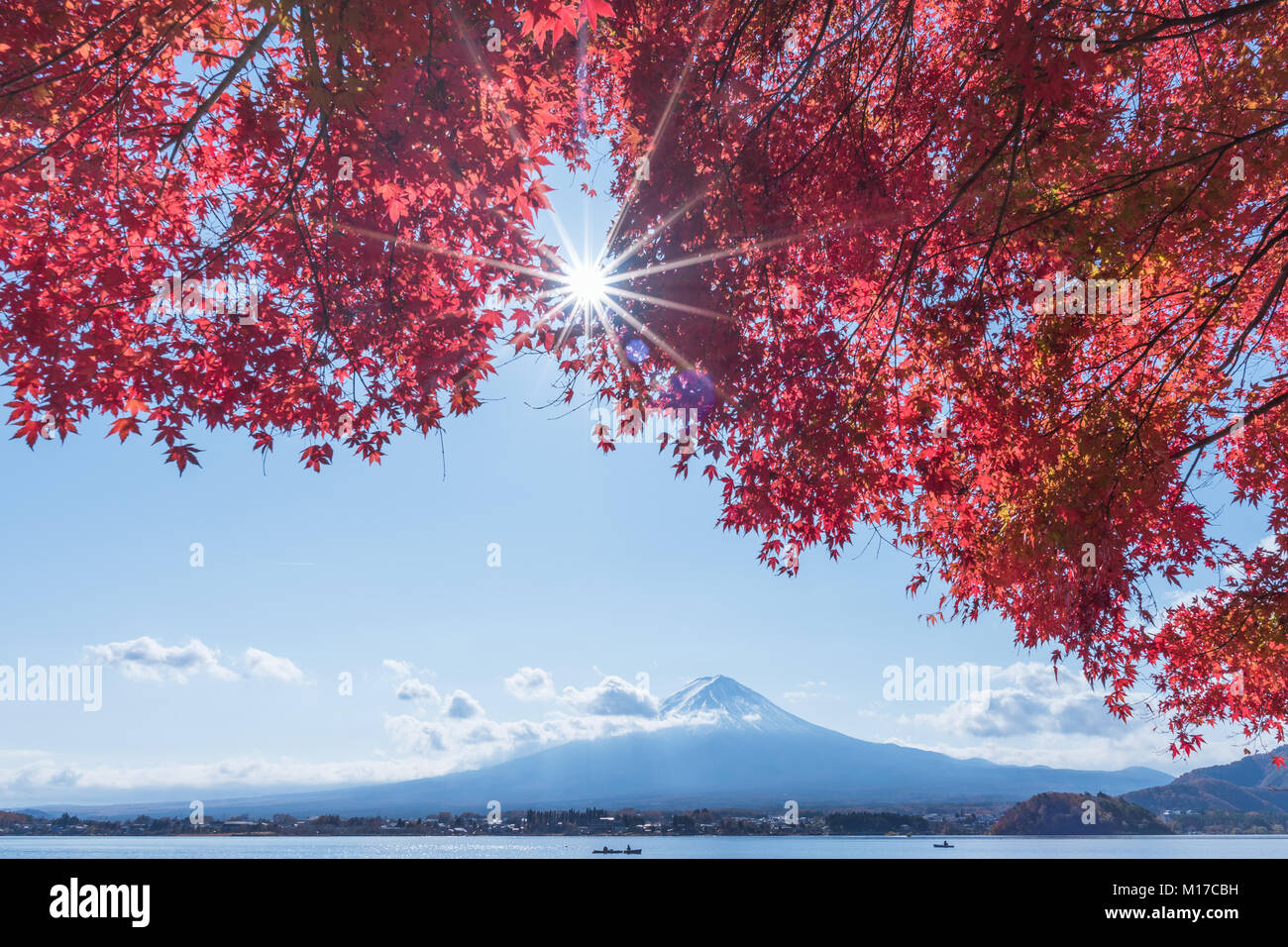 Red maple leaves with Fuji mountain in Lake Kawaguchiko. Japan. Stock Photo