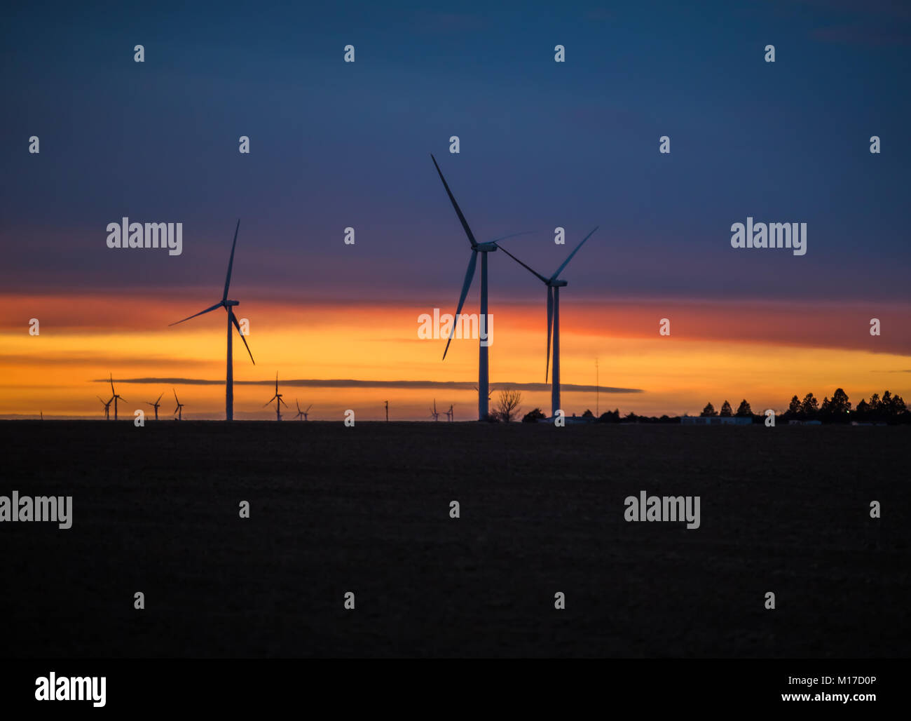 Beautiful sunset with silhouettes of  windmills in the foreground; Colorado, USA Stock Photo