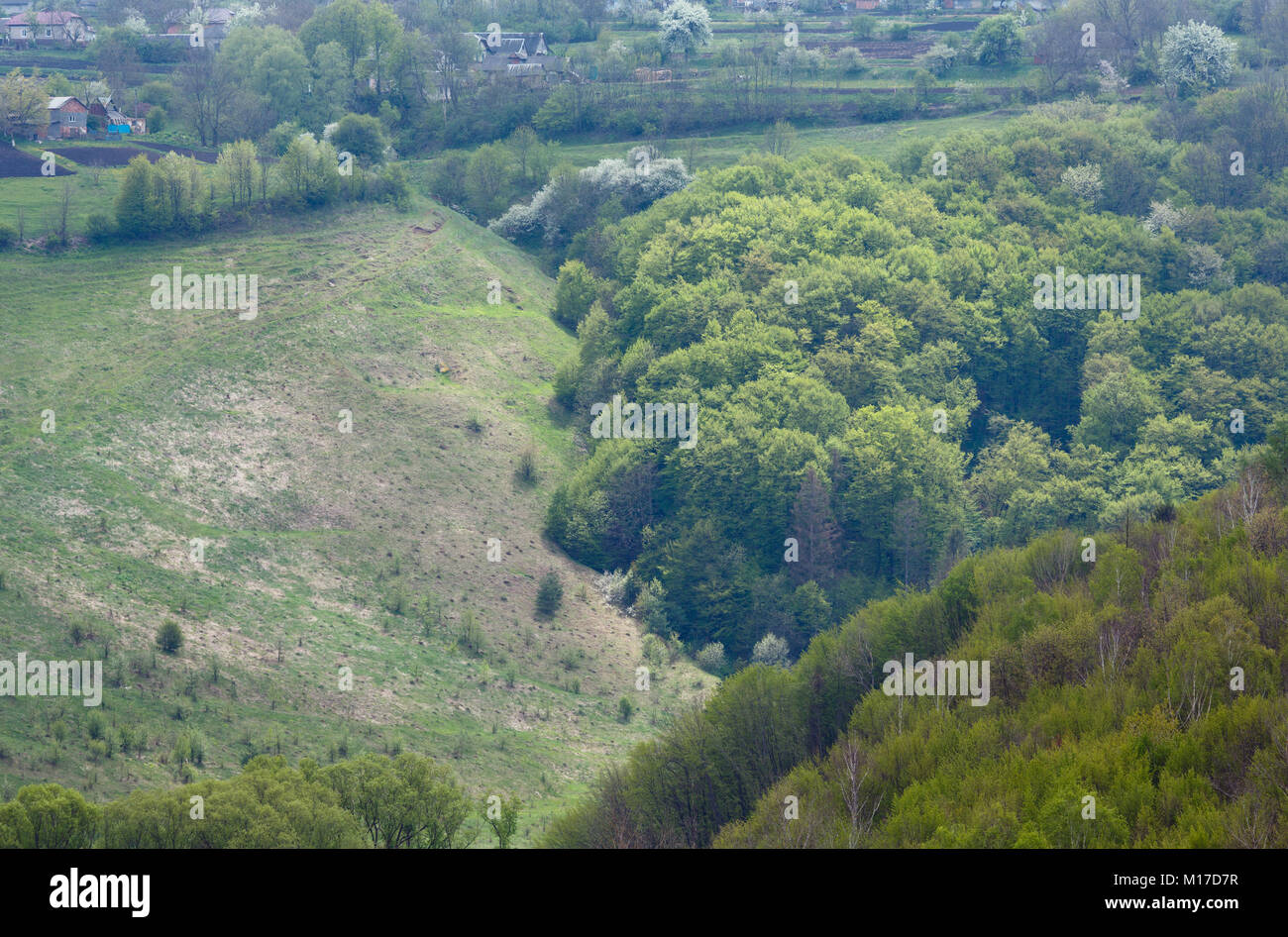 Spring forest, ravine and village view from Jazlovets castle ruins ...