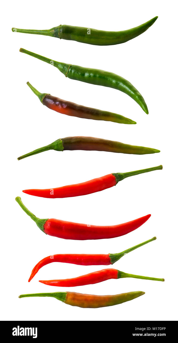 Red and green chili isolated on white background Stock Photo - Alamy