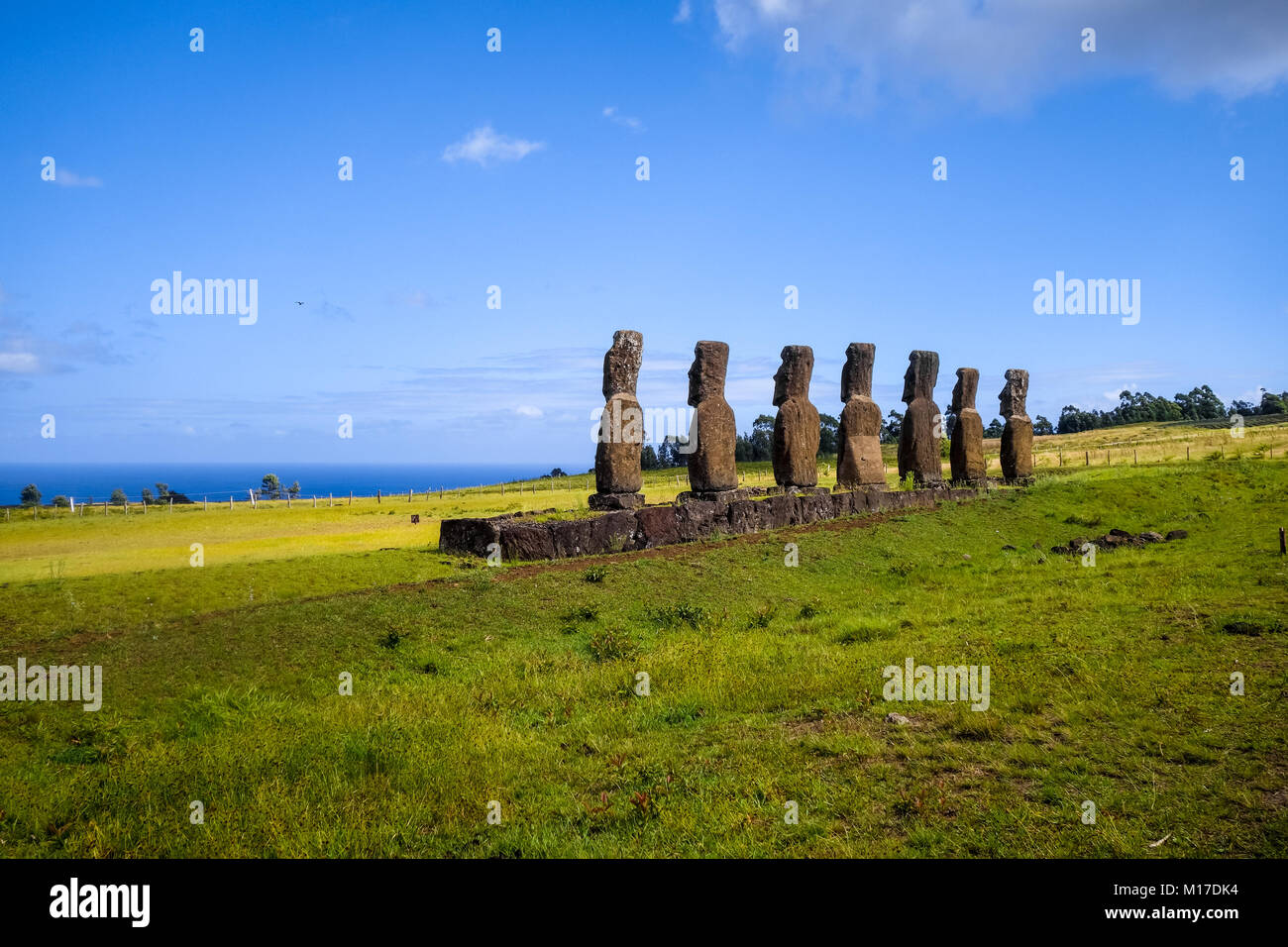 Moais statues, ahu Akivi, easter island, Chile Stock Photo Alamy