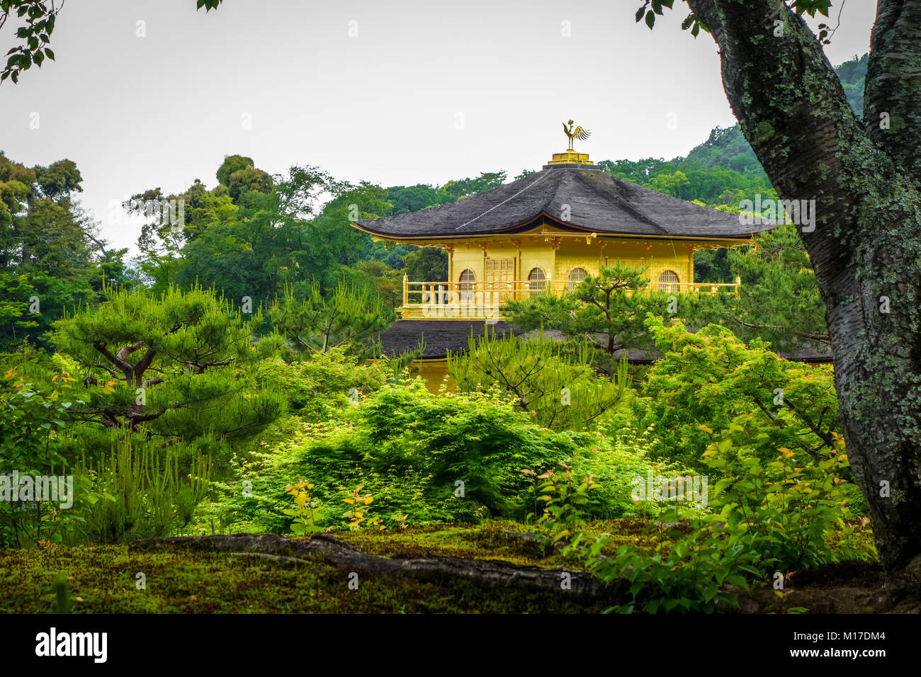 Kinkaku-ji golden temple pavilion in Kyoto, Japan Stock Photo