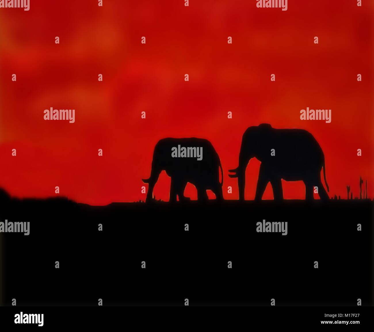 African Elephants against deep sunset in silhouette. Stark contrasts in black and red coloring Stock Vector