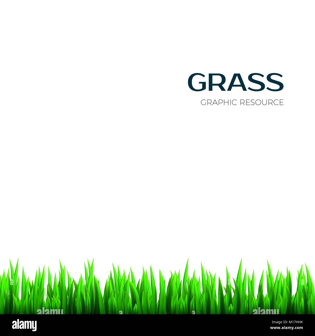 Grass texture. Realistic horizontal Herb botany frame for banner. Vector illustration Stock Vector