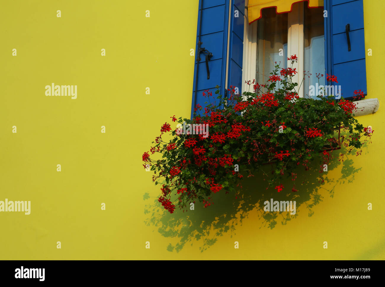 yellow house with flowery balcony with red geraniums on the isle of Burano near Venice in Italy Stock Photo