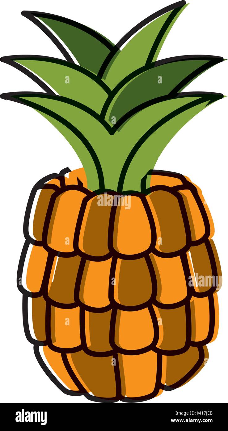 Pineapple sweet fruit Stock Vector Image & Art - Alamy