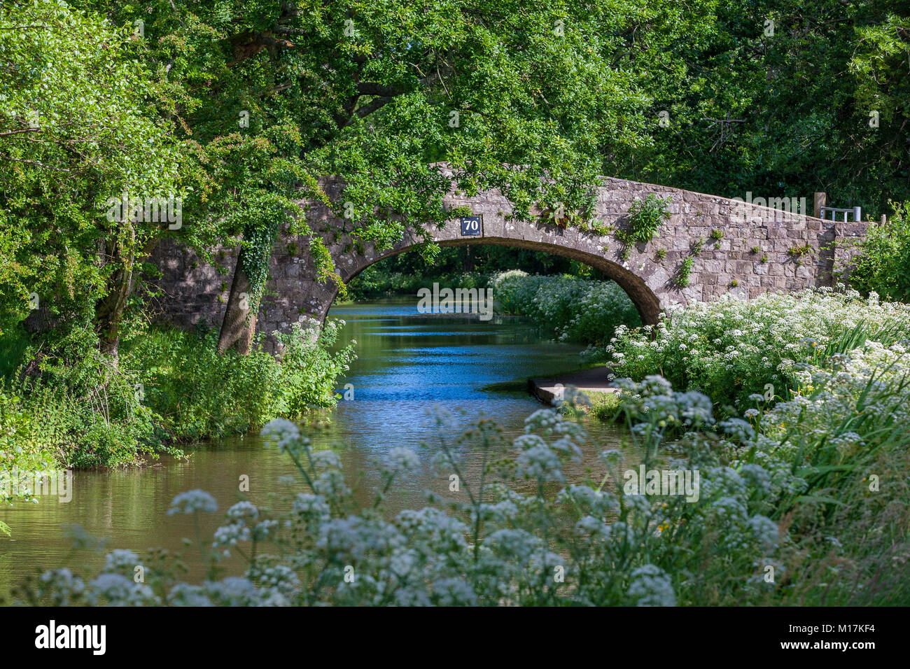 Birdspool Bridge, Monmouthshire and Brecon Canal at Goytre Stock Photo
