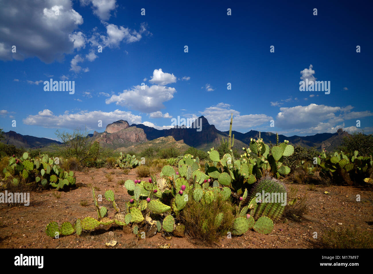 Baboquivari Peak, Baboquivari Mountains, Sonoran Desert, Tohono O'odham