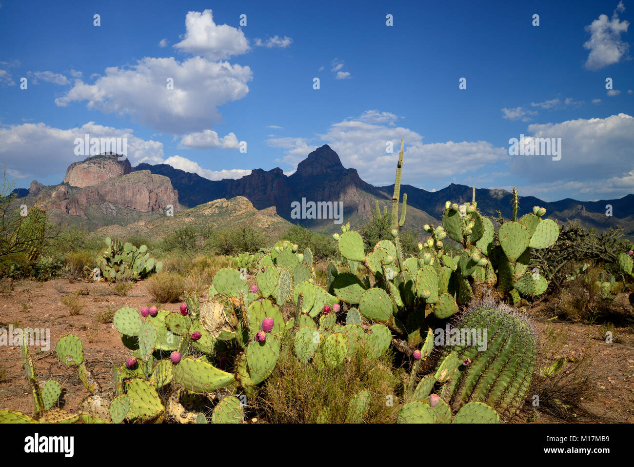 Baboquivari Peak, Baboquivari Mountains, Sonoran Desert, Tohono O'odham