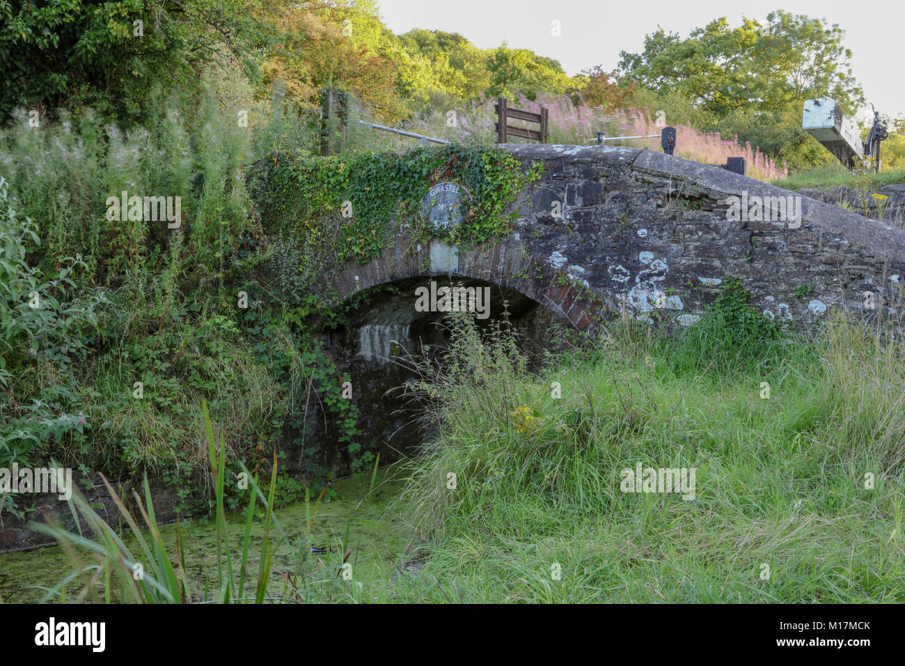 Monmouthshire and Brecon Canal at Newport, Gwent, Wales UK Stock Photo