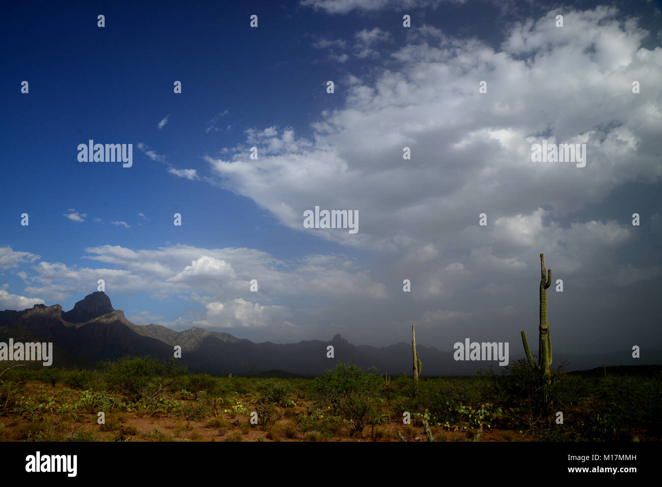 Baboquivari Mountains, Sonoran Desert, Tohono O'odham Reservation