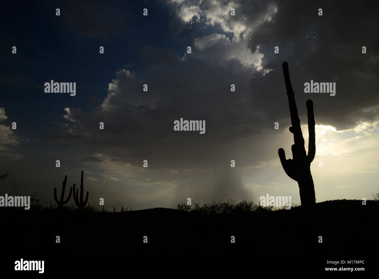 Baboquivari Mountains, Sonoran Desert, Tohono O'odham Reservation