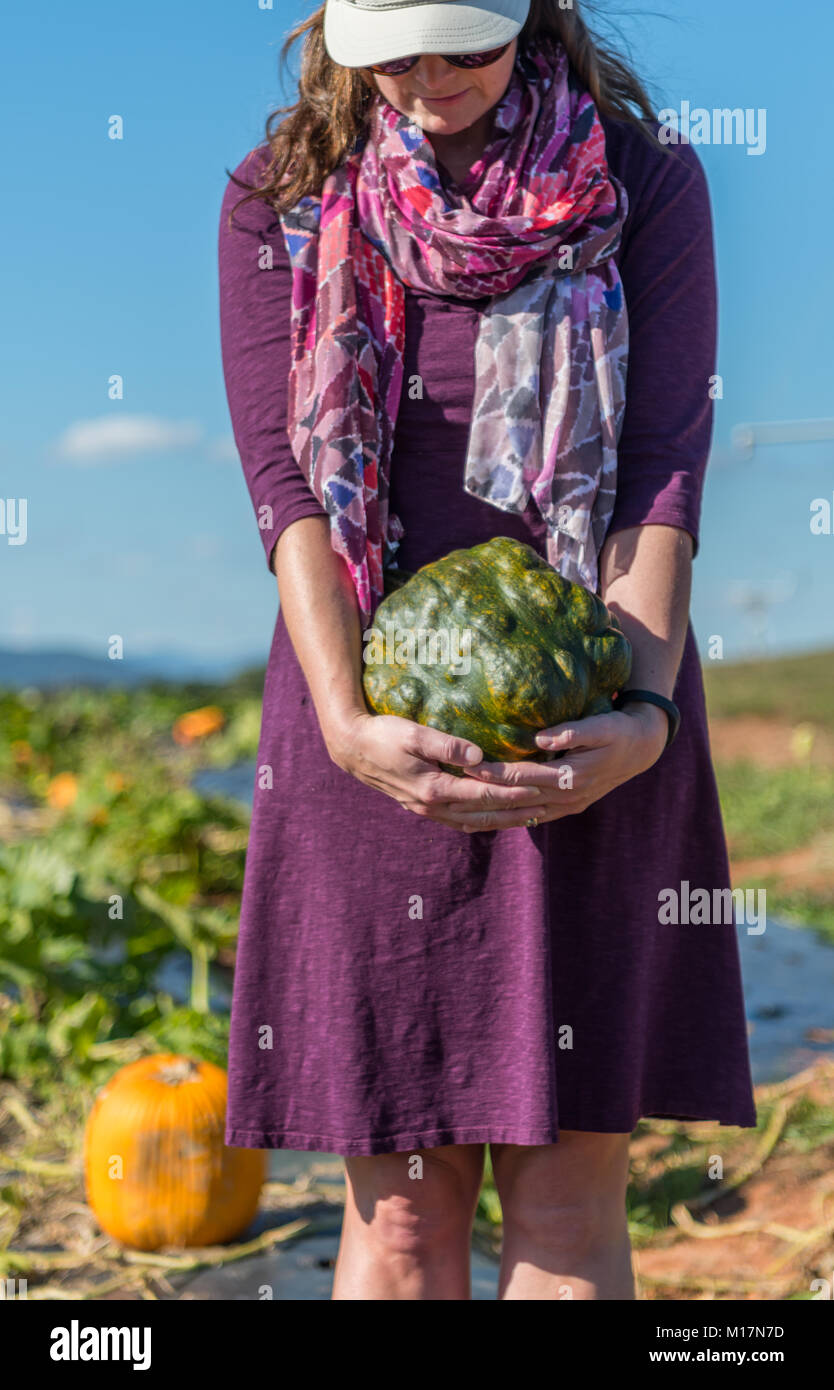 Close Up of Woman Holding Bumpy Pumpkin in patch Stock Photo