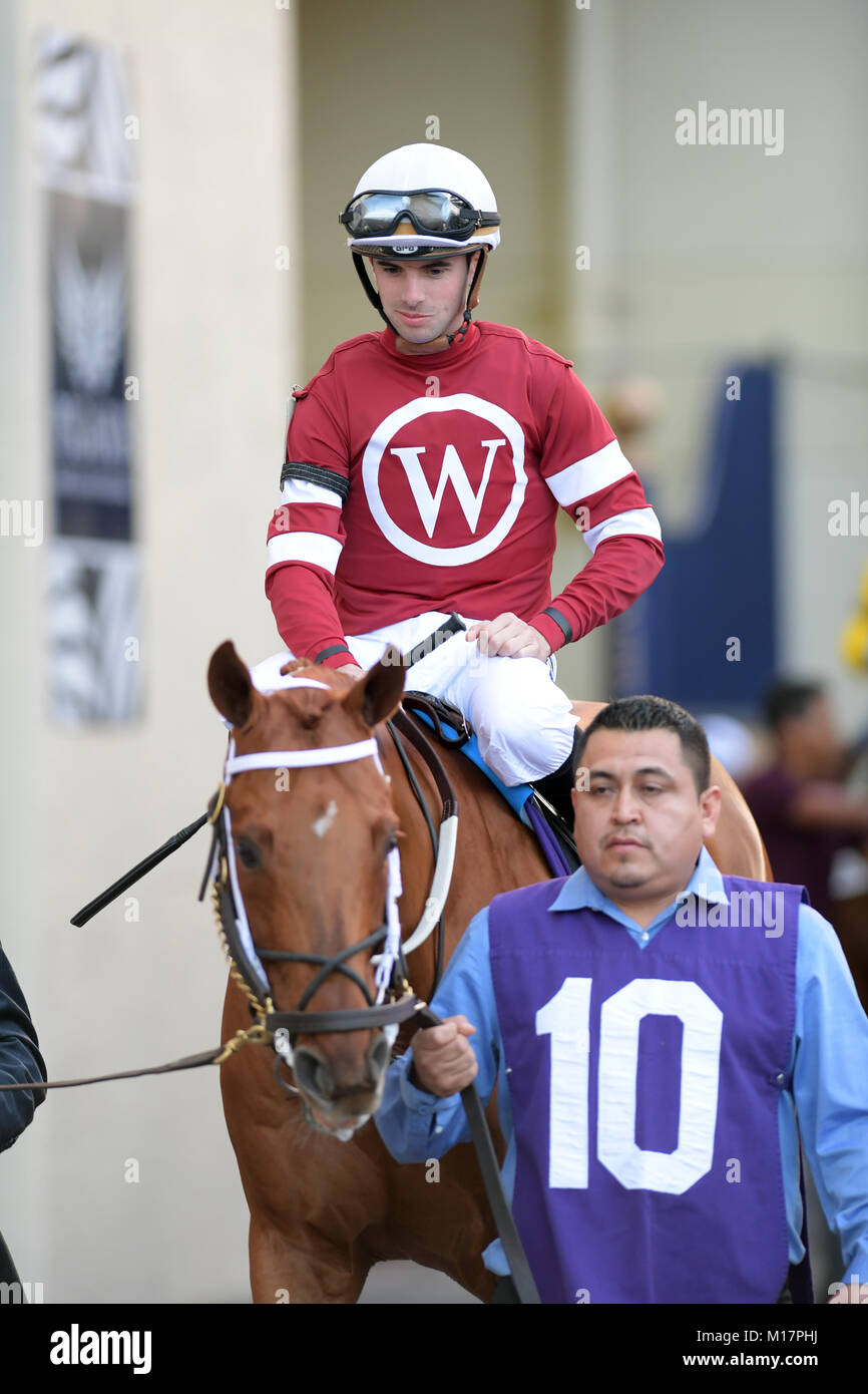 Hallandale, FL, USA. 27th Jan, 2018. Betting Favorite Gun Runner #10, ridden by Florent Geroux, wins the $16 Million Pegasus World Cup Invitational, The World's Richest Thoroughbred Horse Race At Gulfstream Park on January 27, 2018 in Hallandale, Florida Transmission Ref: FLXX Credit: Hoo Me.Com/Media Punch/Alamy Live News Stock Photo