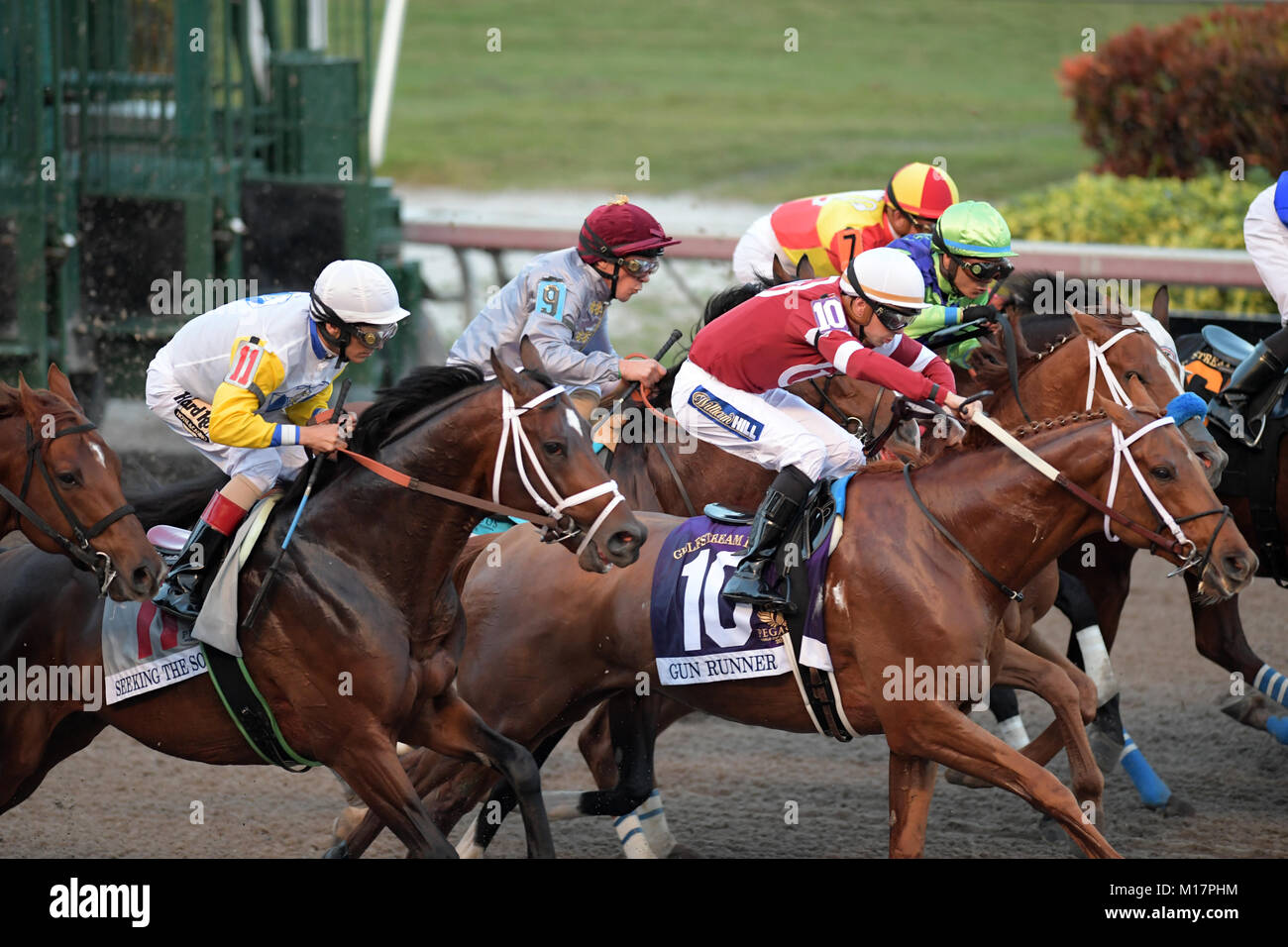 Hallandale, FL, USA. 27th Jan, 2018. Betting Favorite Gun Runner #10, ridden by Florent Geroux, wins the $16 Million Pegasus World Cup Invitational, The World's Richest Thoroughbred Horse Race At Gulfstream Park on January 27, 2018 in Hallandale, Florida Transmission Ref: FLXX Credit: Hoo Me.Com/Media Punch/Alamy Live News Stock Photo