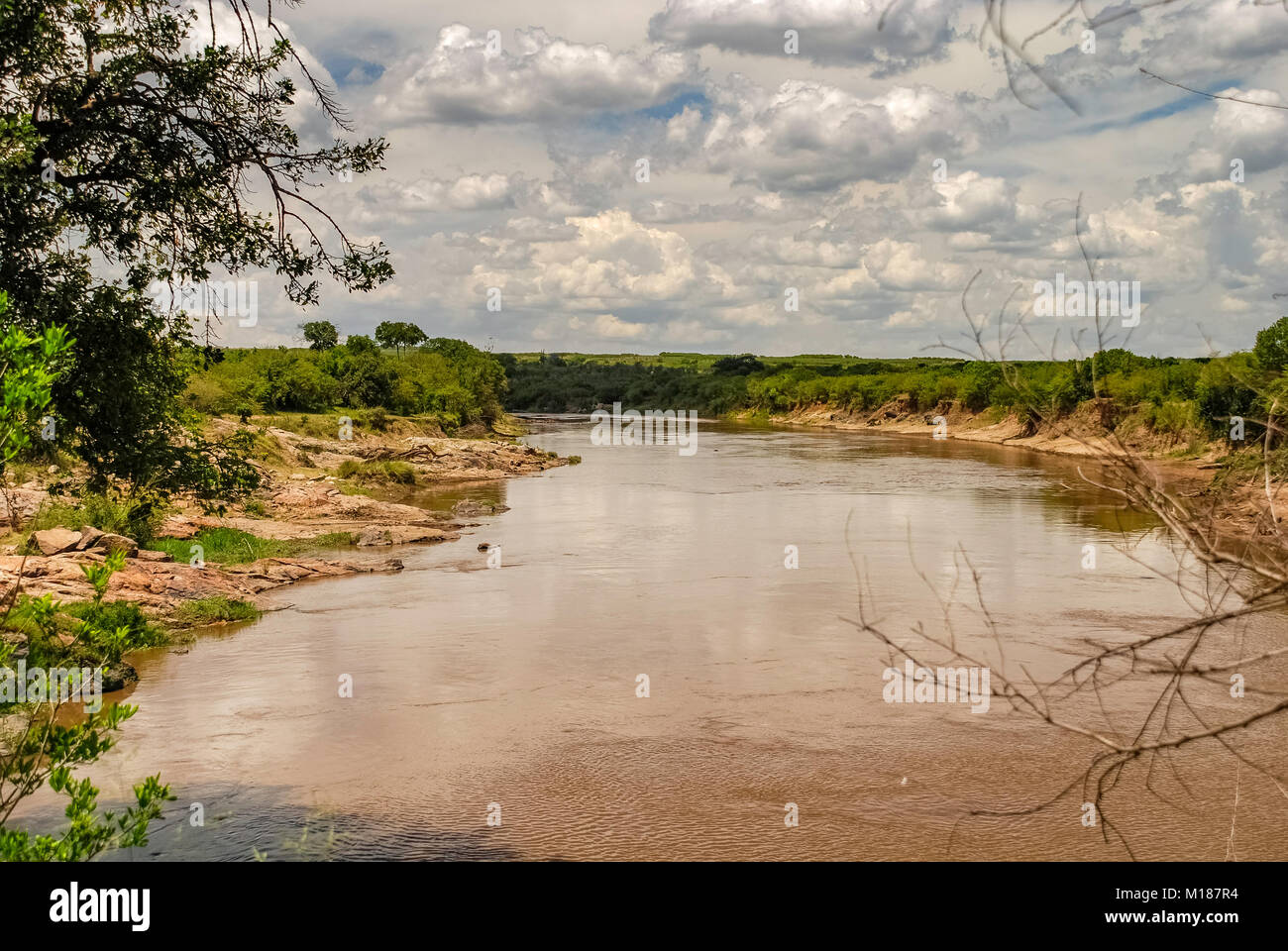 Masai mara migration hi-res stock photography and images - Alamy