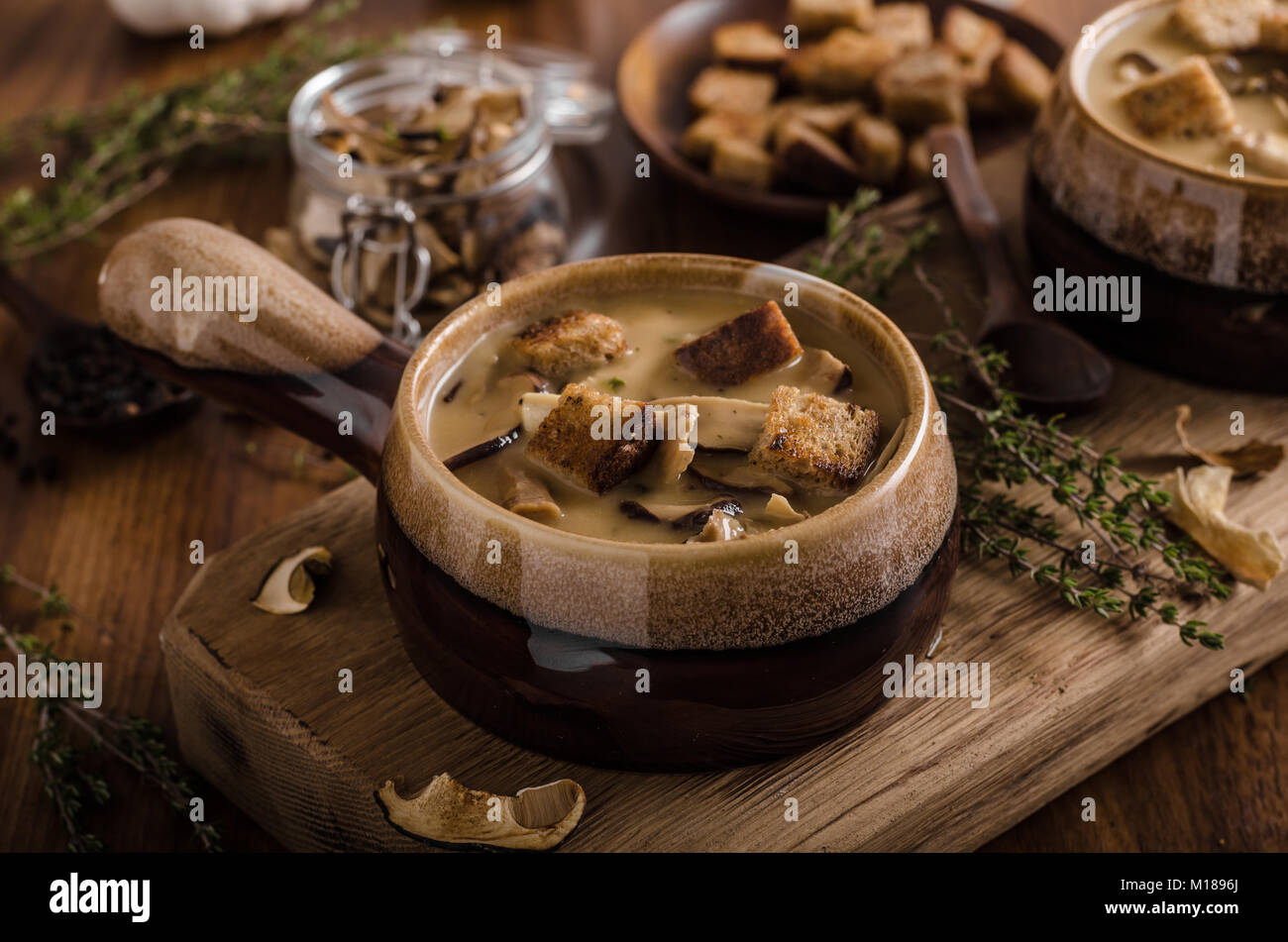 Rustic mushrooms soup, czech forest mushrooms, fresh collect in woods ...