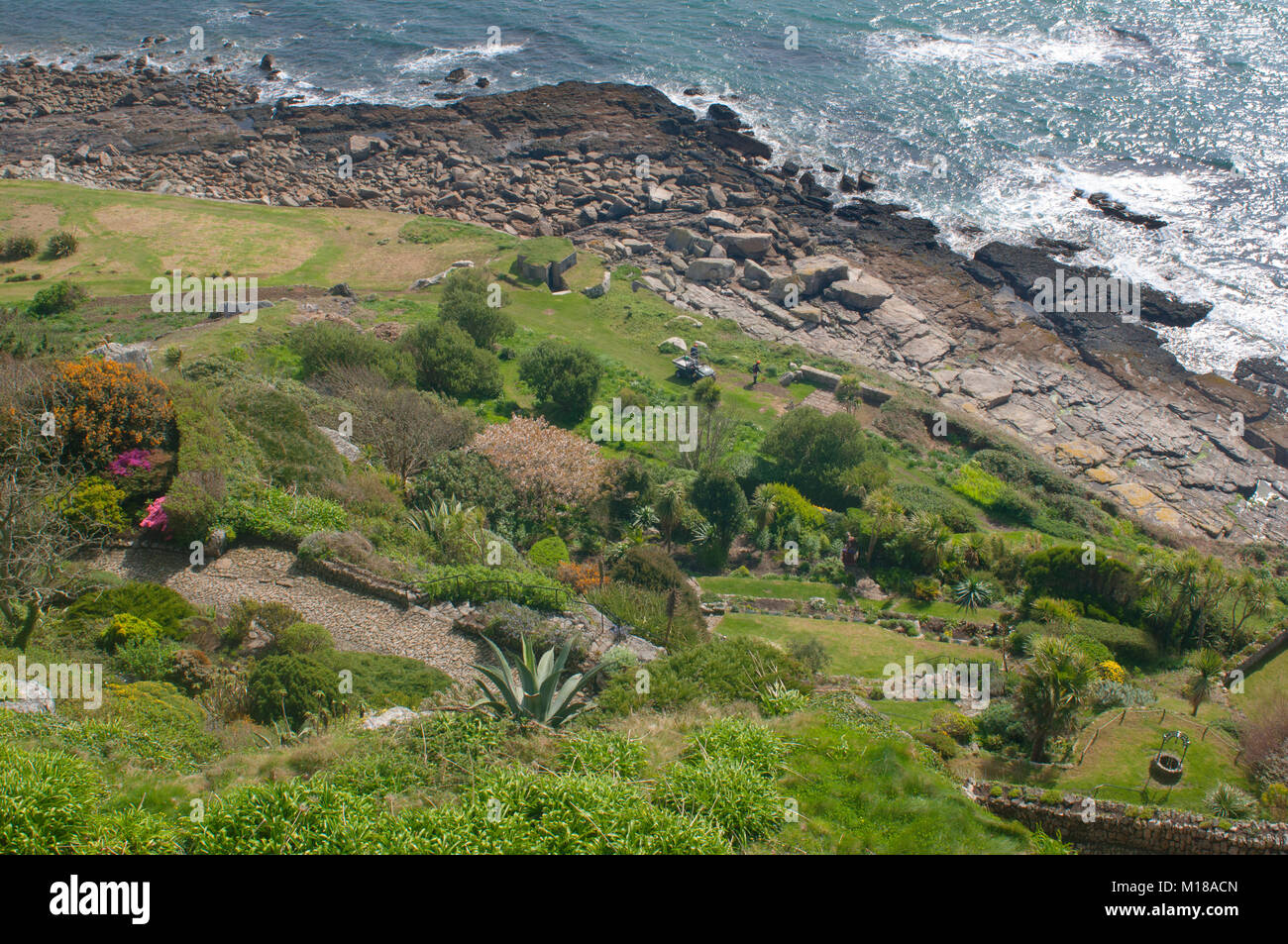 Looking down on the sub tropical gardens at St. Michael's Mount, Cornwall, UK - John Gollop Stock Photo