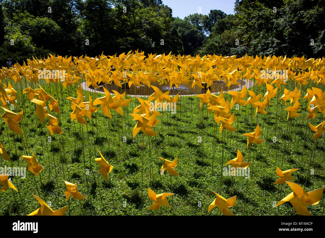 An art installation of 7,000 pinwheels is exhibited in Prospect Park's Rose Garden in Brooklyn