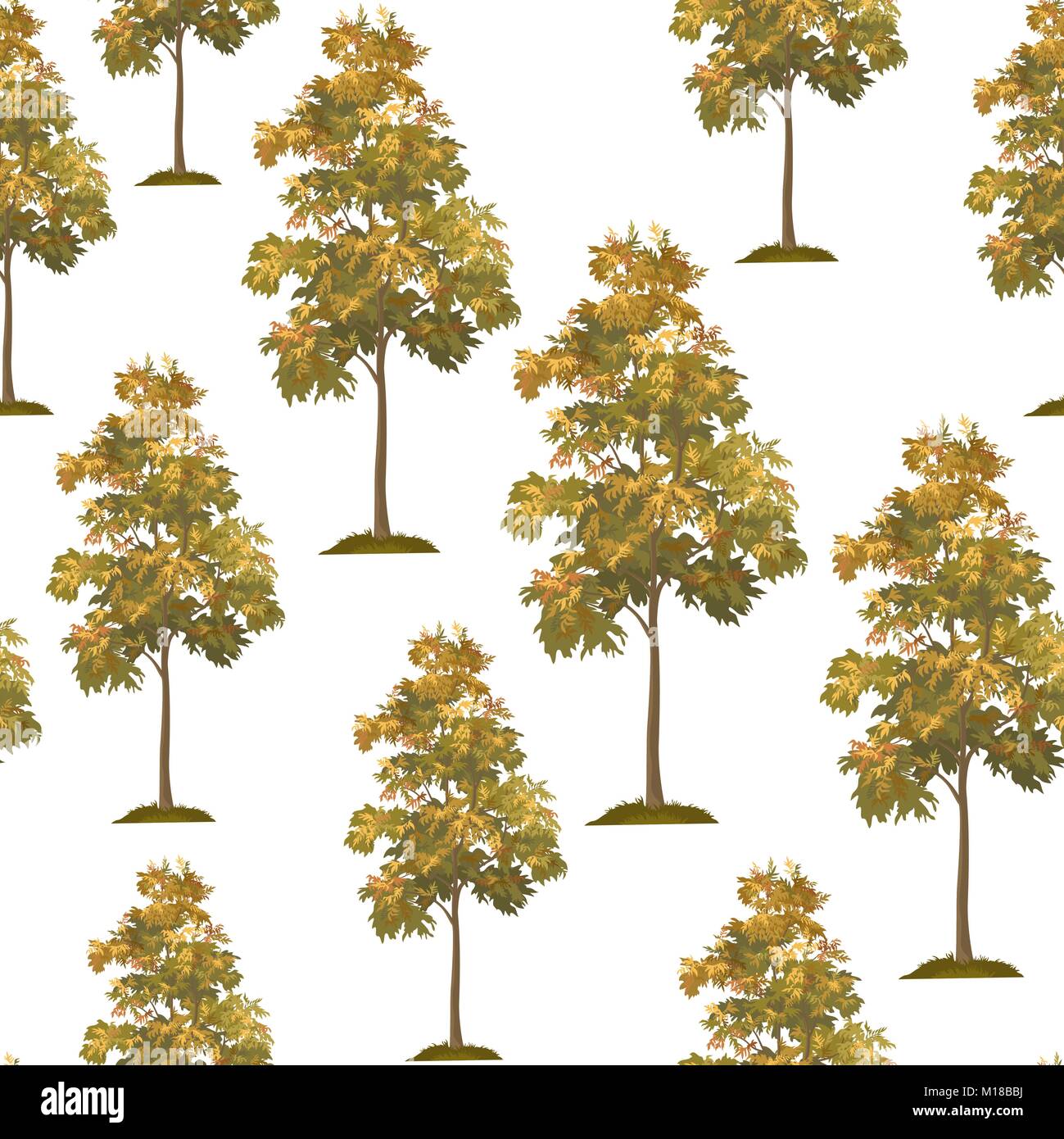 Acacia Trees Seamless Stock Vector