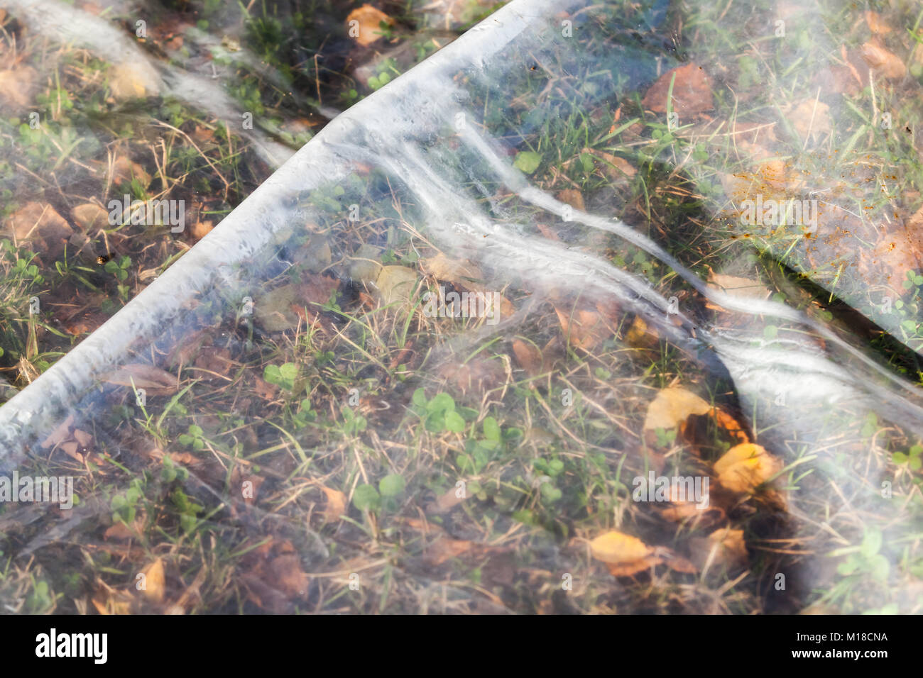 Misted polyethylene film lies on top of natural ground with grass and leaves, the greenhouse effect illustration Stock Photo