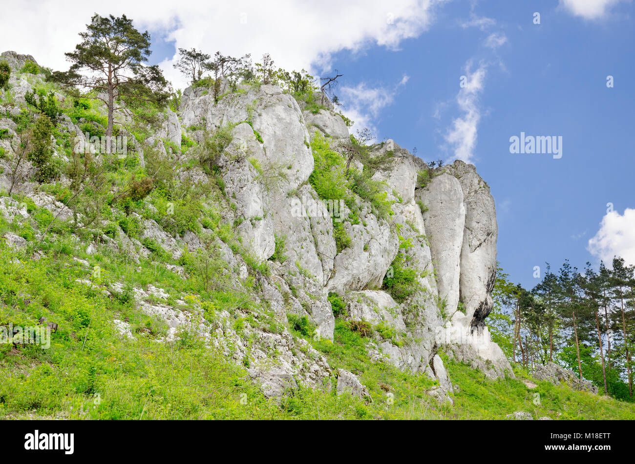 Nature reserve Mount Zborow / Berkowa. Polish Jurassic Highland, Lesser Poland voivodeship, Europe Stock Photo